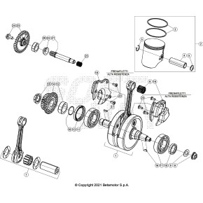 SPINOTTO 18X56X13 - 036.02.006.00.00