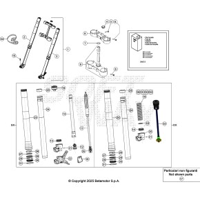 GAMBA FORCELLA DESTRA RR 2T -300 X-PR - 040.34.080.80.00