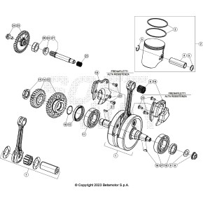ALBERO MOTORE RR 2T - 026.02.068.80.00