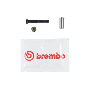 Perno leva per pompa frizione BREMBO - BR105547480