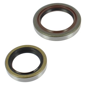 Serie paraoli albero motore BETA RR125 2T - GU427220T