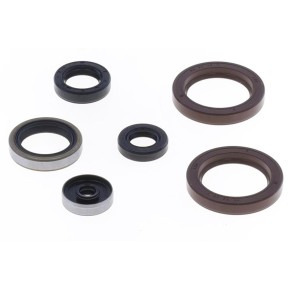 Serie paraoli motore HUSABERG HUSQVARNA KTM - GU84134T