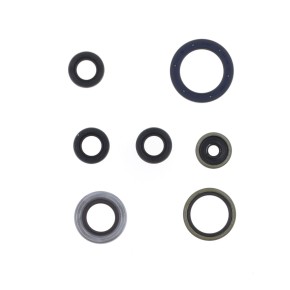 Serie paraoli motore HUSQVARNA KTM 85 - GU84149T