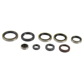 Serie paraoli motore HUSABERG HUSQVARNA KTM - GU84176T