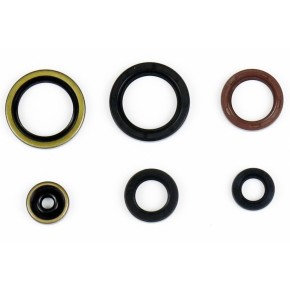 Serie paraoli motore GASGAS HUSQVARNA KTM - GU84591T