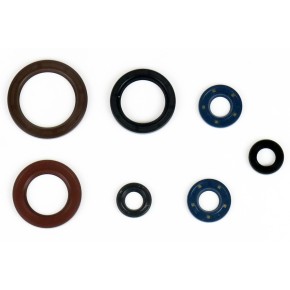 Serie paraoli motore GASGAS HUSQVARNA KTM - GU84594T