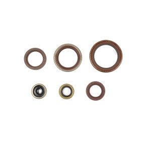 Serie paraoli motore BETA - GU84604T