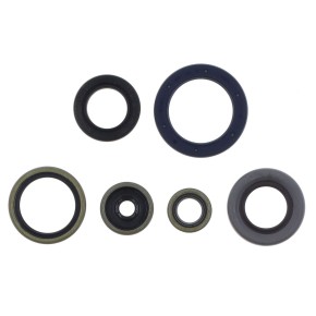 Serie paraoli motore GASGAS HUSQVARNA KTM 85 - GU84620T