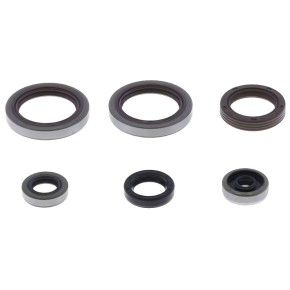 Serie paraoli motore BETA RR 125 2T - GU84673T