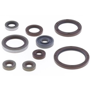 Serie paraoli motore BETA RR 350/390 - GU84697T