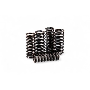 Kit molle frizione rinforzate BETA - HDS101.6