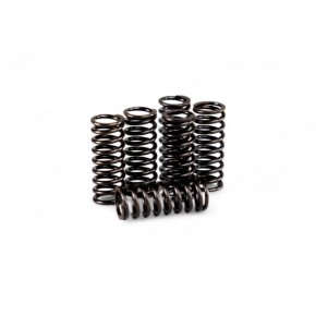 Kit molle frizione rinforzate HUSABERG HUSQVARNA KTM - HDS126.5