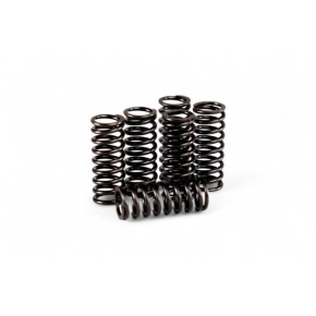 Kit molle frizione rinforzate BETA - HDS99.4