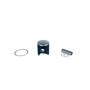 Pistone WOSSNER Ø47,01mm - 1 Fascia - PR8147 DG