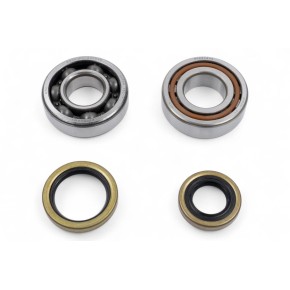 Kit cuscinetti albero motore e paraoli PROX - PX23.CBS61003