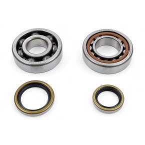 Kit cuscinetti albero motore e paraoli PROX - PX23.CBS62001
