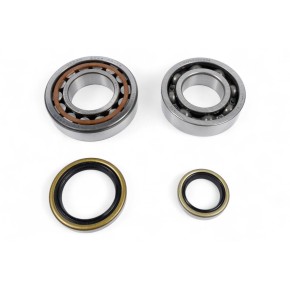 Kit cuscinetti albero motore e paraoli PROX - PX23.CBS63004