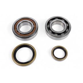 Kit cuscinetti albero motore e paraoli PROX - PX23.CBS73022