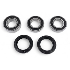 Kit cuscinetti ruota posteriore PROX - PX23.S115056