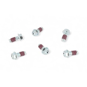 Viti HAAN WHEELS per disco freno (6 pezzi) - VT3026