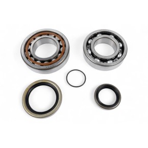 Kit cuscinetti albero motore e paraoli BWX - XCBK35001