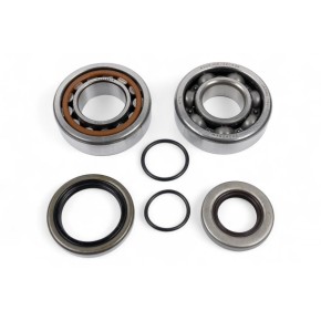 Kit cuscinetti albero motore e paraoli BWX - XCBK60002