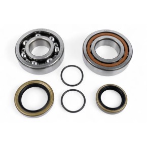 Kit cuscinetti albero motore e paraoli BWX - XCBK60003