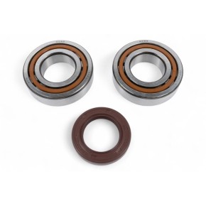 Kit cuscinetti albero motore e paraoli BWX - XCBK60010
