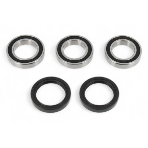 Kit cuscinetti ruota BWX - XWBK50010