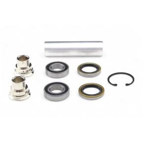 Kit revisione mozzo ruota posteriore BWX - XWRK60011
