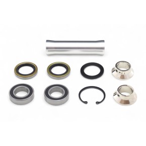 Kit revisione mozzo ruota posteriore BWX - XWRK60016