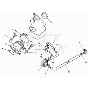 RACCORDO MANICOTTO CARB. VAM - 27.19796.000