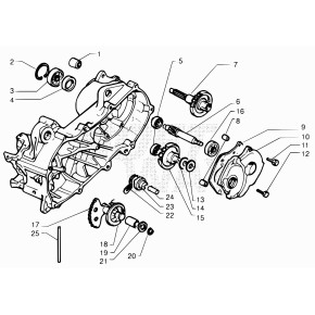 ALBERO M.MOTO COMPLETO - 33.00030.000