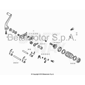 CAMMA CAMBIO EVO 2T *D40* - 007.05.003.80.00