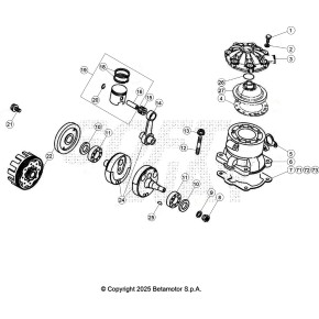 BIELLA COMPLETA EVO 125CC - 007.02.050.80.00