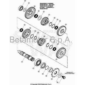 INGRANAGGIO 1° Z.34 SU SECONDARIO - 36.25279.000