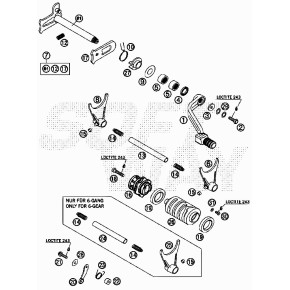 CUSCINETTO A SFERE 61805 C3 - 36.25042.000