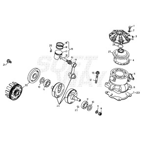 PISTONE D.54 EVO-2T 125CC - 007.02.040.00.00