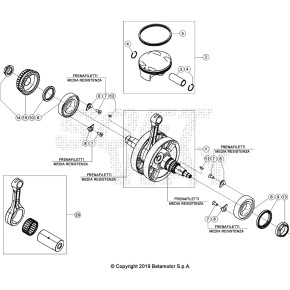 ALBERO MOTORE - 037.02.000.80.00