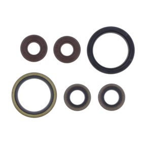 Serie paraoli motore SHERCO 250/300 SE-R - GU84710T