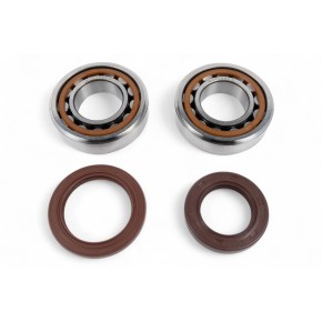 Kit cuscinetti albero motore e paraoli BWX - XCBK60009