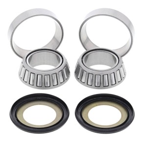 Kit cuscinetti cannotto di sterzo All Balls MONTESA