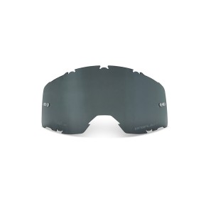 Lente smoke ANTI-FOG per occhiali Wise