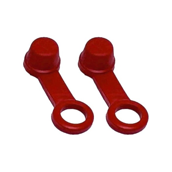 Coppia tappi liquido freni