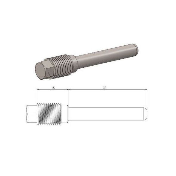 Perno pinza freno NISSIN Beta RR (13-26) ANTERIORE