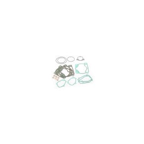 KIT GUARNIZIONI GRUPPO TERMICO REPLICA OEM BETA RR250/300 2T 18-27