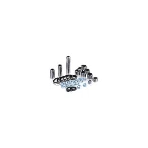 Kit completo cuscinetti e paraoli leveraggio Beta RR (13-26)