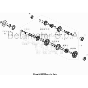 PIGNONE CATENA Z.13 TECHNO/REV/EVO - 25.60841.000
