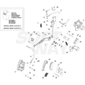 PINZA FRENO ATTACCO BREMBO RR4T - 020.36.010.80.00