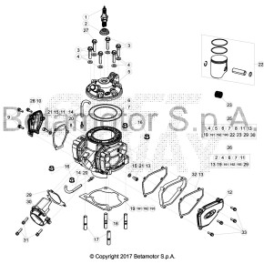 VITE 5.25 RS CH8 FLANGIATA - C24.31.042.00.00
